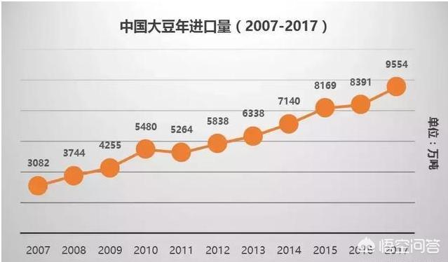 進(jìn)口大豆價(jià)格最新行情深度解析