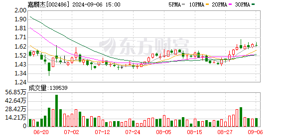 嘉麟杰最新動態，引領行業變革，開啟新篇章