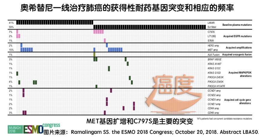 奧希替尼最新價(jià)格動態(tài)及其市場影響分析