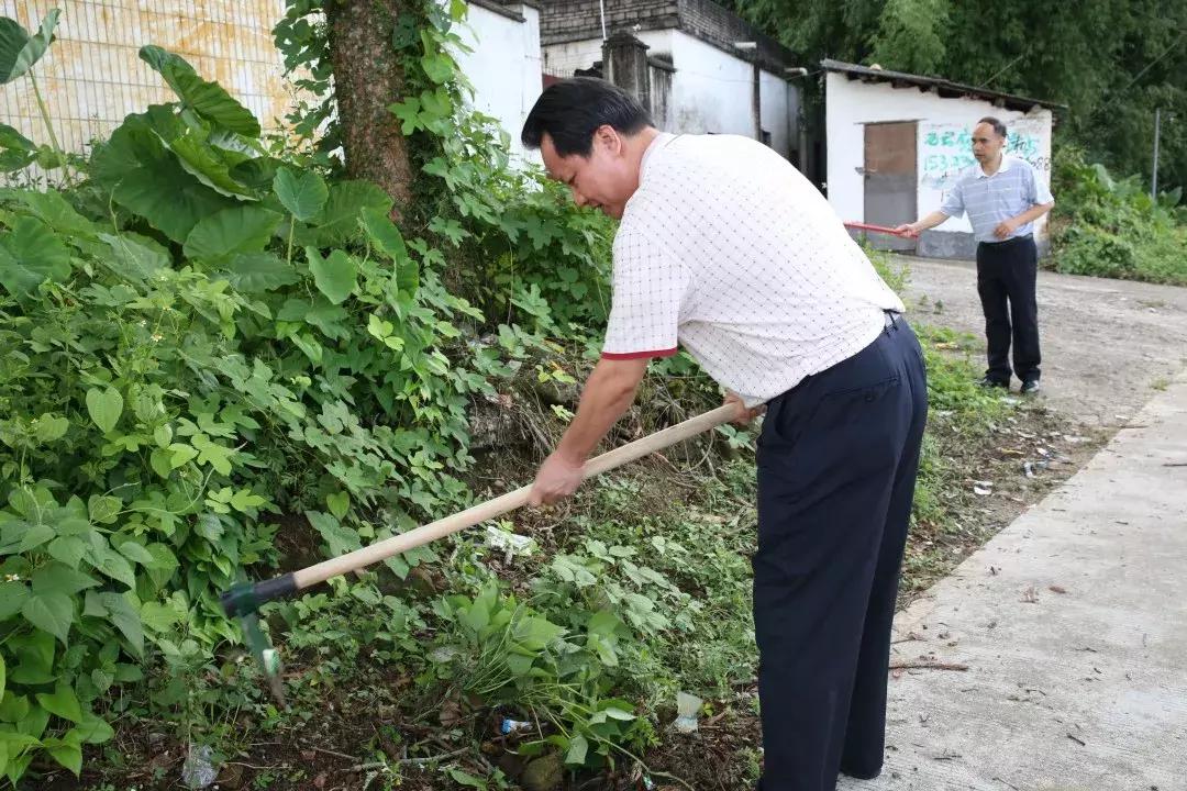 清新環(huán)境最新動態(tài)，邁向綠色未來的步伐正在加速