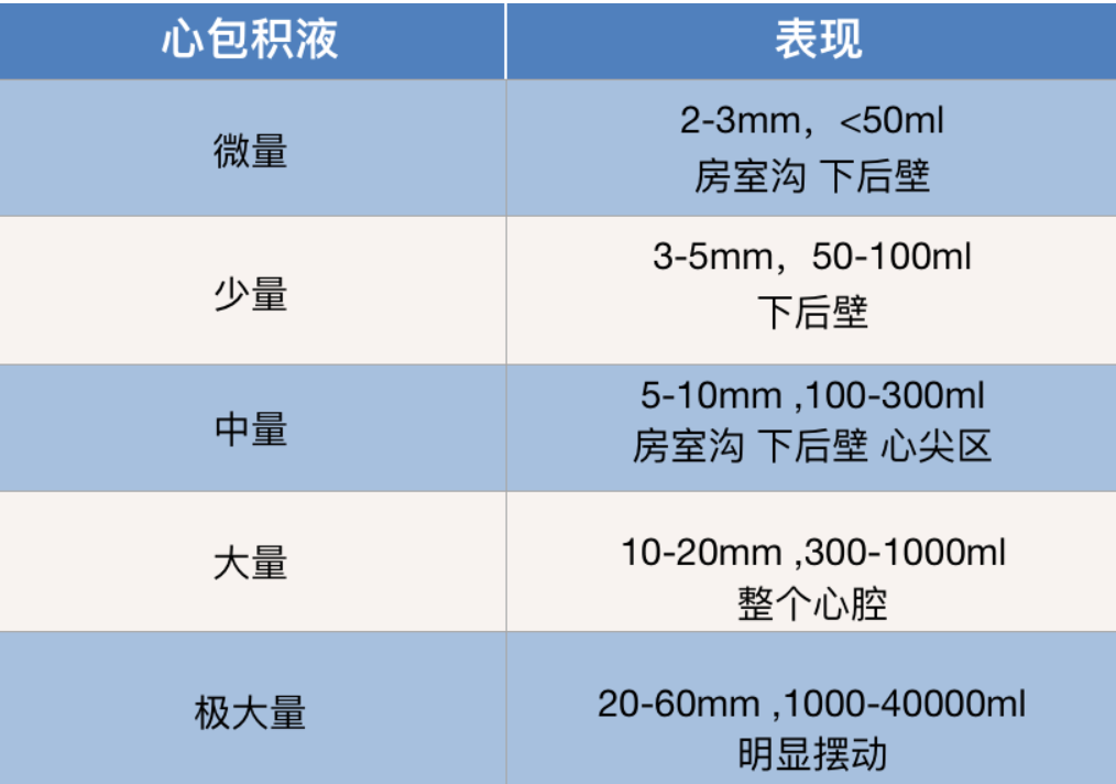 最新心臟彩超正常值及其重要性解析