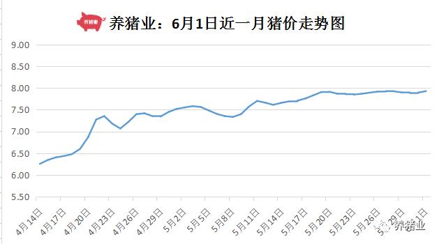 全國生豬價格最新行情解析