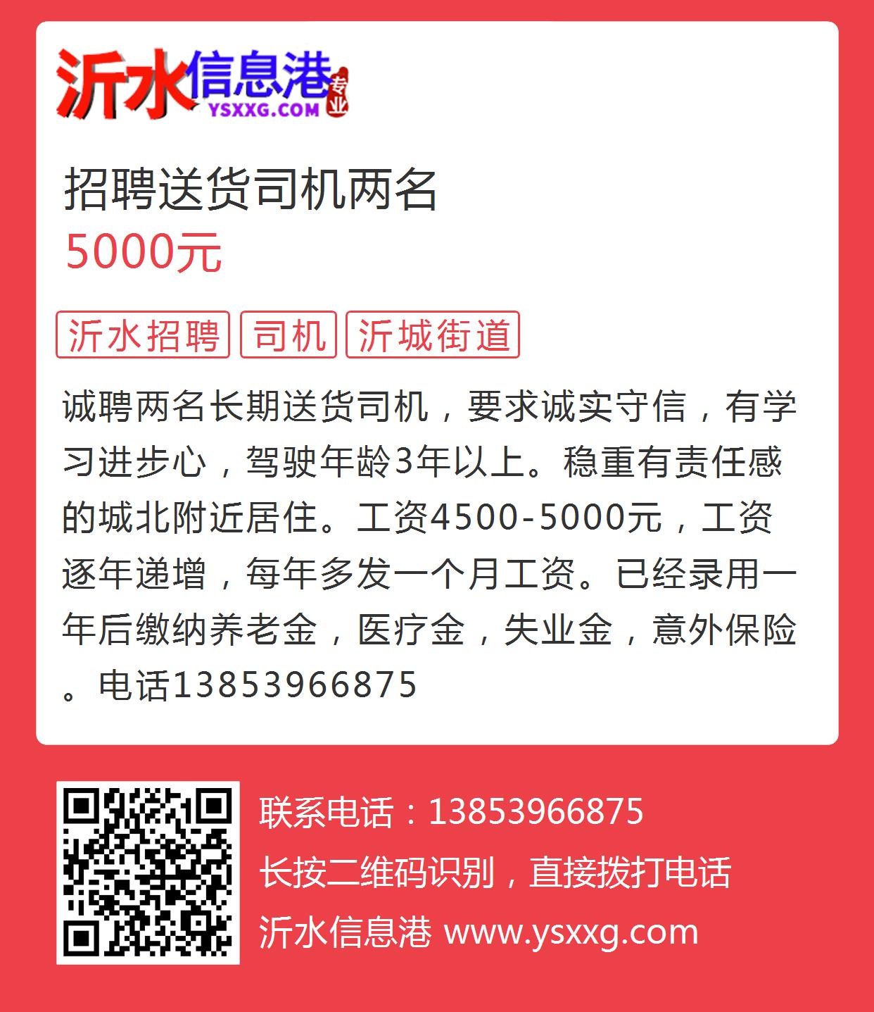 臨沭司機招聘最新動態，行業趨勢與就業機會深度解析