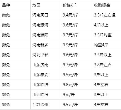 今日兔毛價(jià)格行情解析