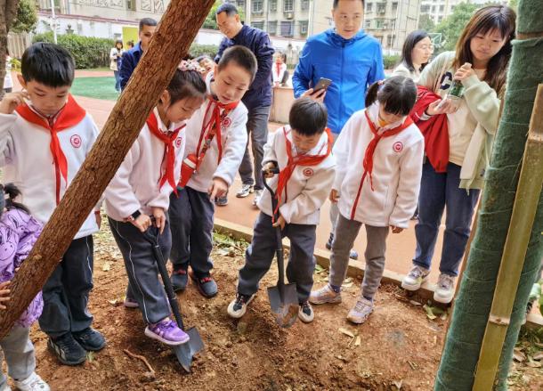 長沙小學(xué)排名最新名單及影響力深度探討