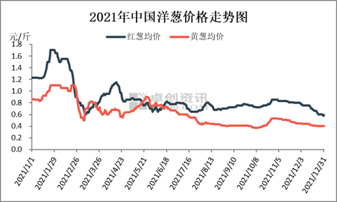 江蘇洋蔥價格最新行情解析