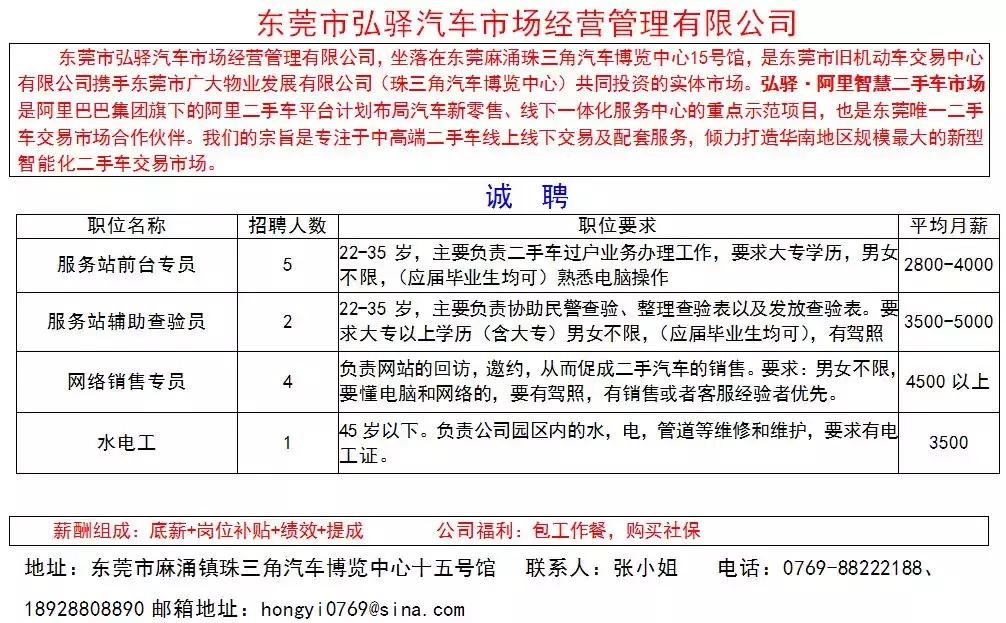 東莞麻涌最新招聘信息總覽