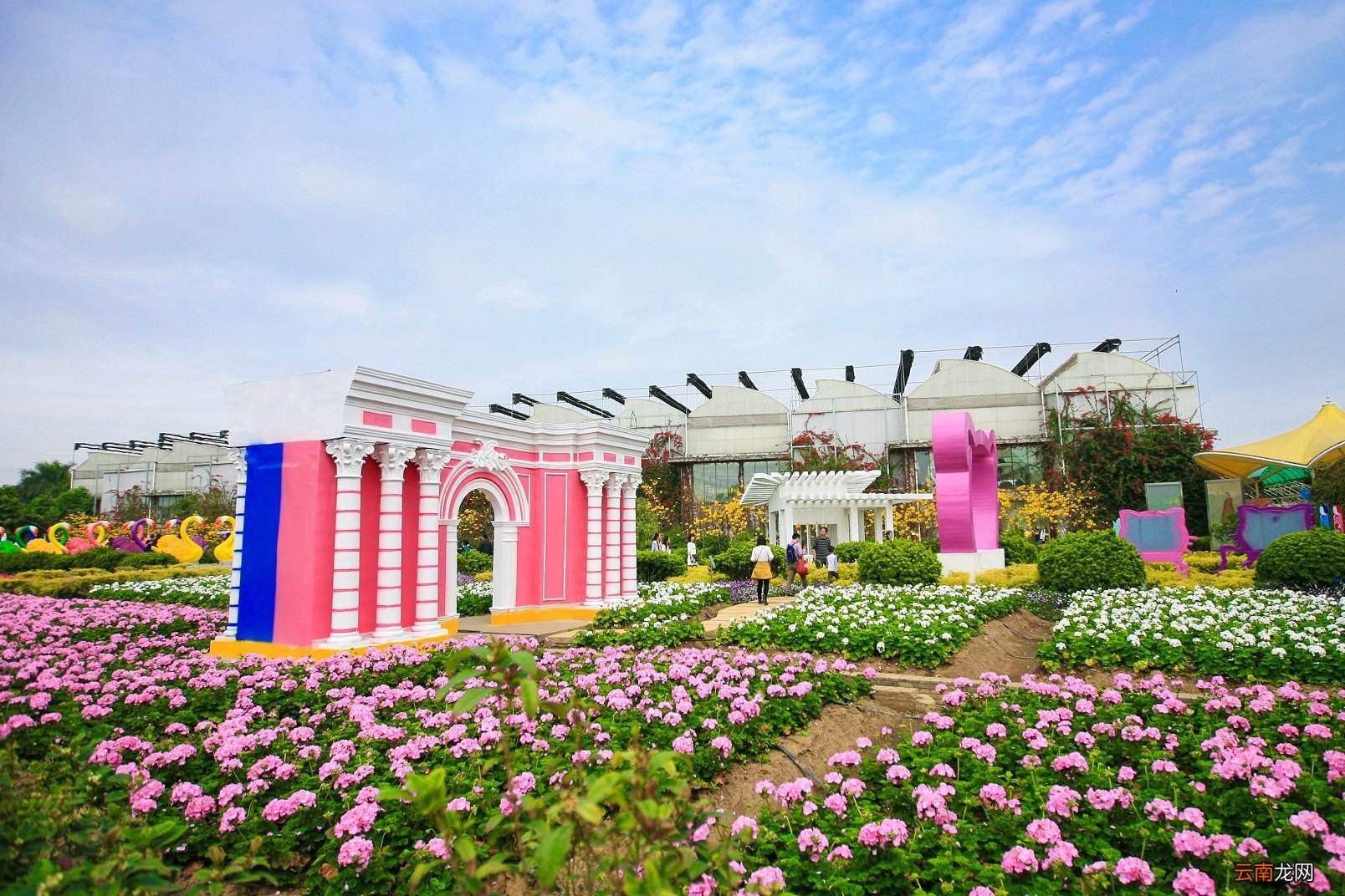 百萬葵園門票最新價格，美麗之旅的探索與體驗