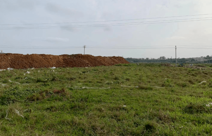 湛江遂溪土地全新出售，投資熱土啟航發展之旅