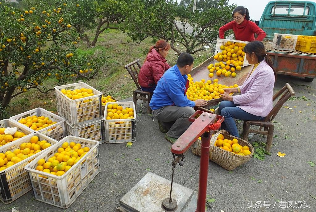 夷陵區最新天氣預報發布