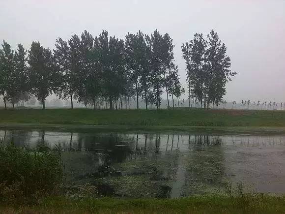 蒙城濕地公園最新動態，綠色生態建設新篇章啟動