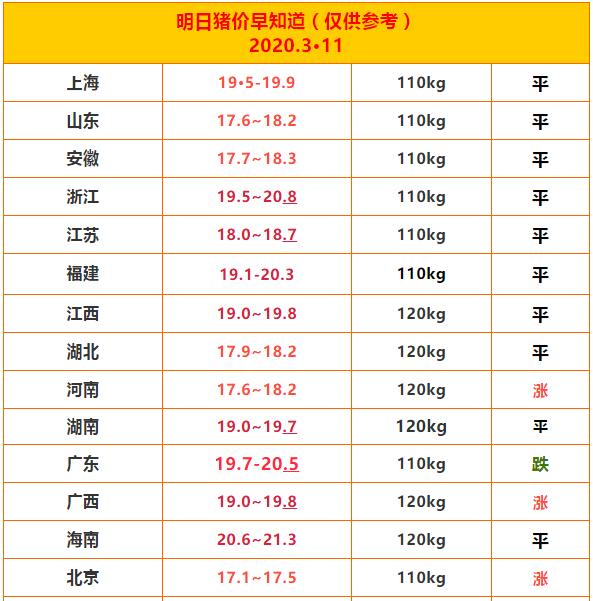 今日豬價走勢分析與最新價格預測